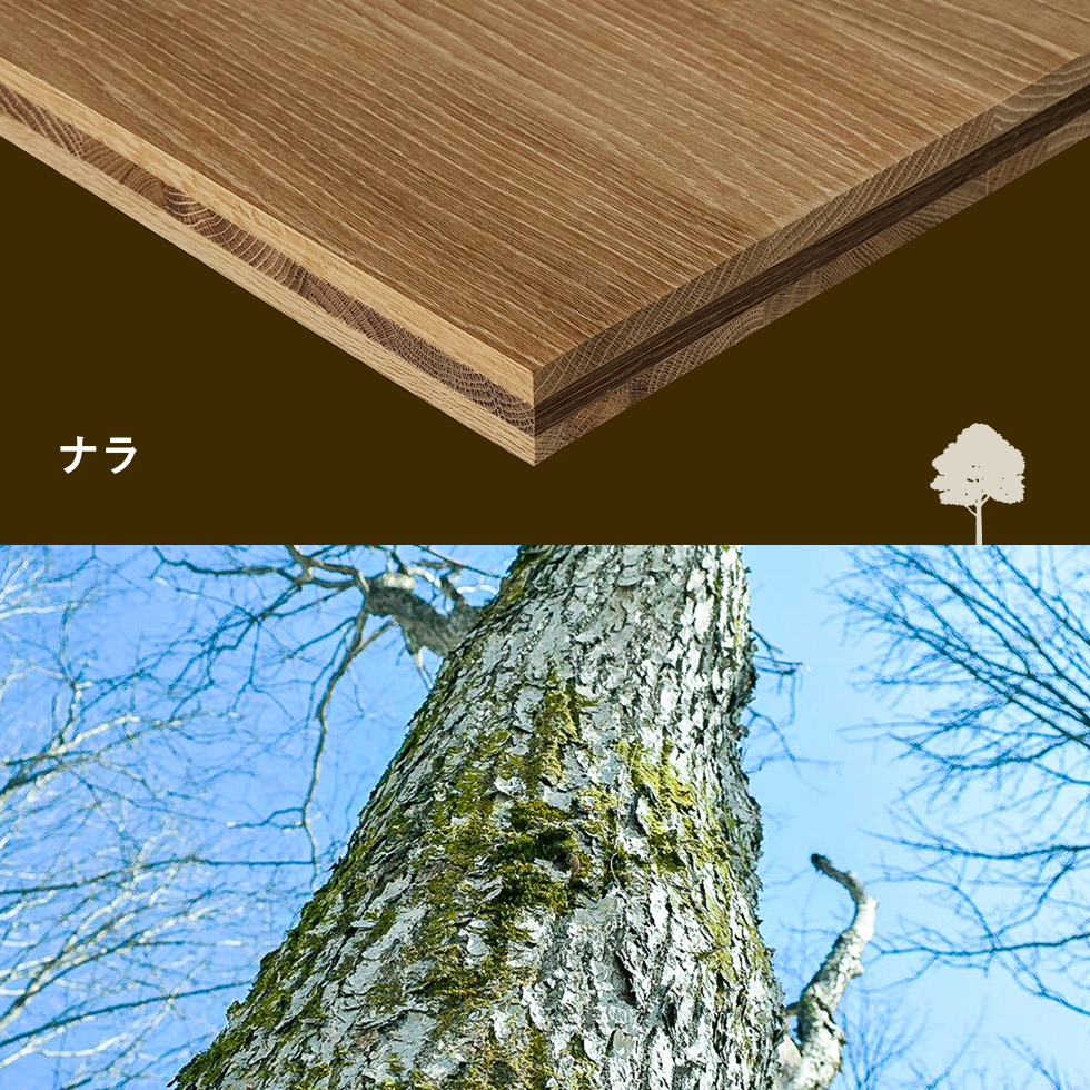 ナラ